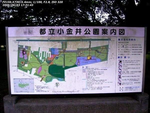 都立小金井公園(小金井市) 小金井公園案内図