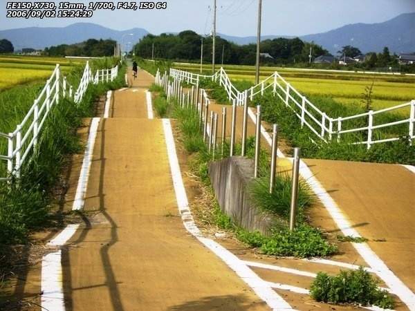 筑波自転車道(桜川市) ジェットコースターのようなアップダウン